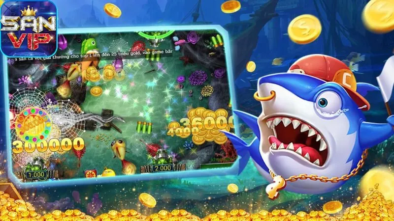 sanh-ban-ca-jili:-gioi-thieu-tong-quan